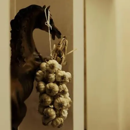 Near Center 1 Daire *