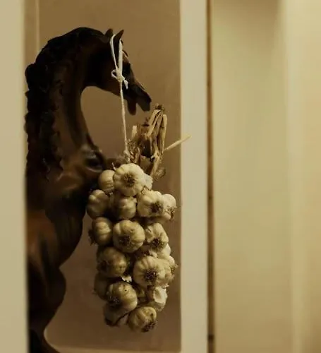 Near Center 1 Apartman *